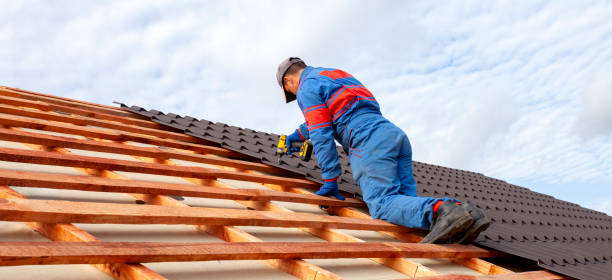 Best Roof Insulation Installation  in Urbana, IL